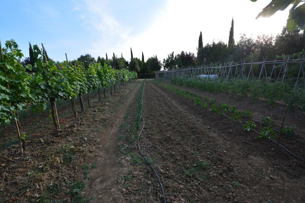 קאסטיגליונה דל לאגו Agriturismo Dolce Verde מראה חיצוני תמונה