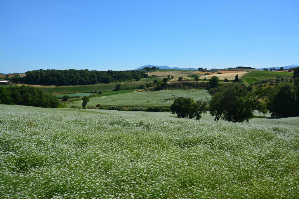 קאסטיגליונה דל לאגו Agriturismo Dolce Verde מראה חיצוני תמונה