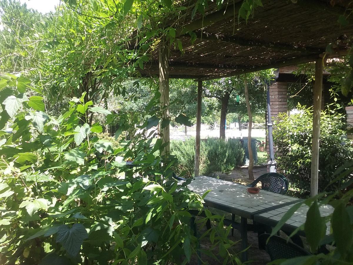 קאסטיגליונה דל לאגו Agriturismo Dolce Verde מראה חיצוני תמונה